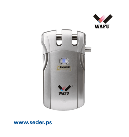 Wafu Wireless Control Electric Door